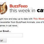 buzzfeed's this week in cats
