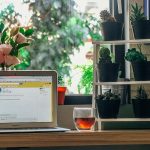 Comment optimiser l'utilisation de l'email marketing en basse saison