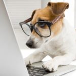 Comment Créer une Newsletter que les Gens Liront Vraiment