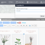 balises ALT de vos images