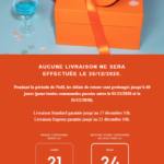 Exemple emailing de Noël avec transparence sur les conditions de livraison