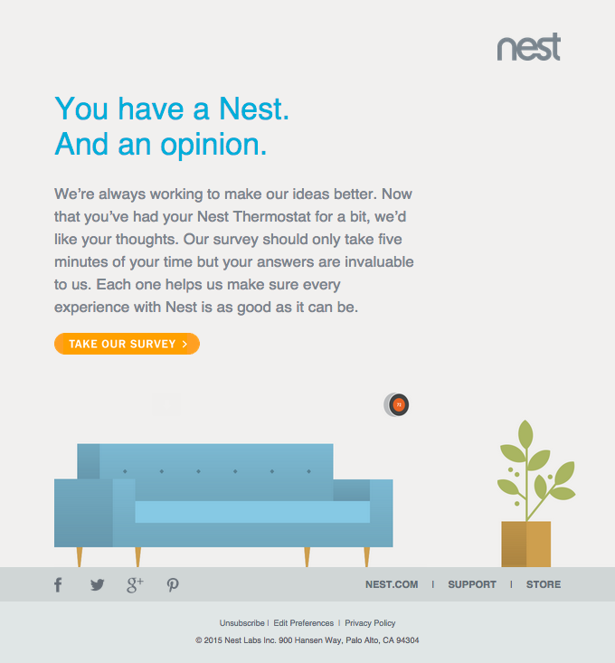 newsletter-nest-opinion-client