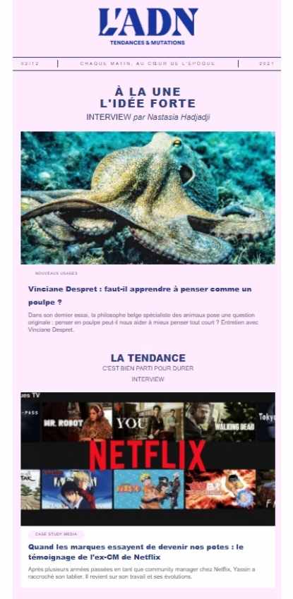 Newsletter ADN