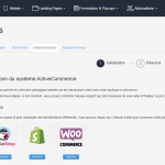 integration woocommerce